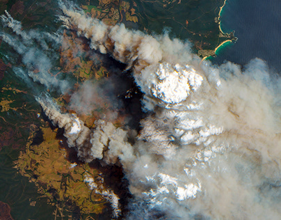 Где купить пульсоксиметры