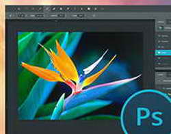 Samsung Galaxy S26 Pro и Galaxy S26 Edge будут заряжаться медленнее Galaxy S25 FE